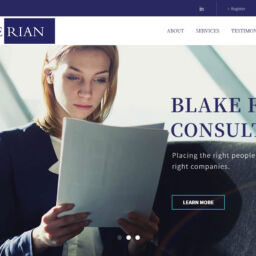 Blake Rian Consulting website